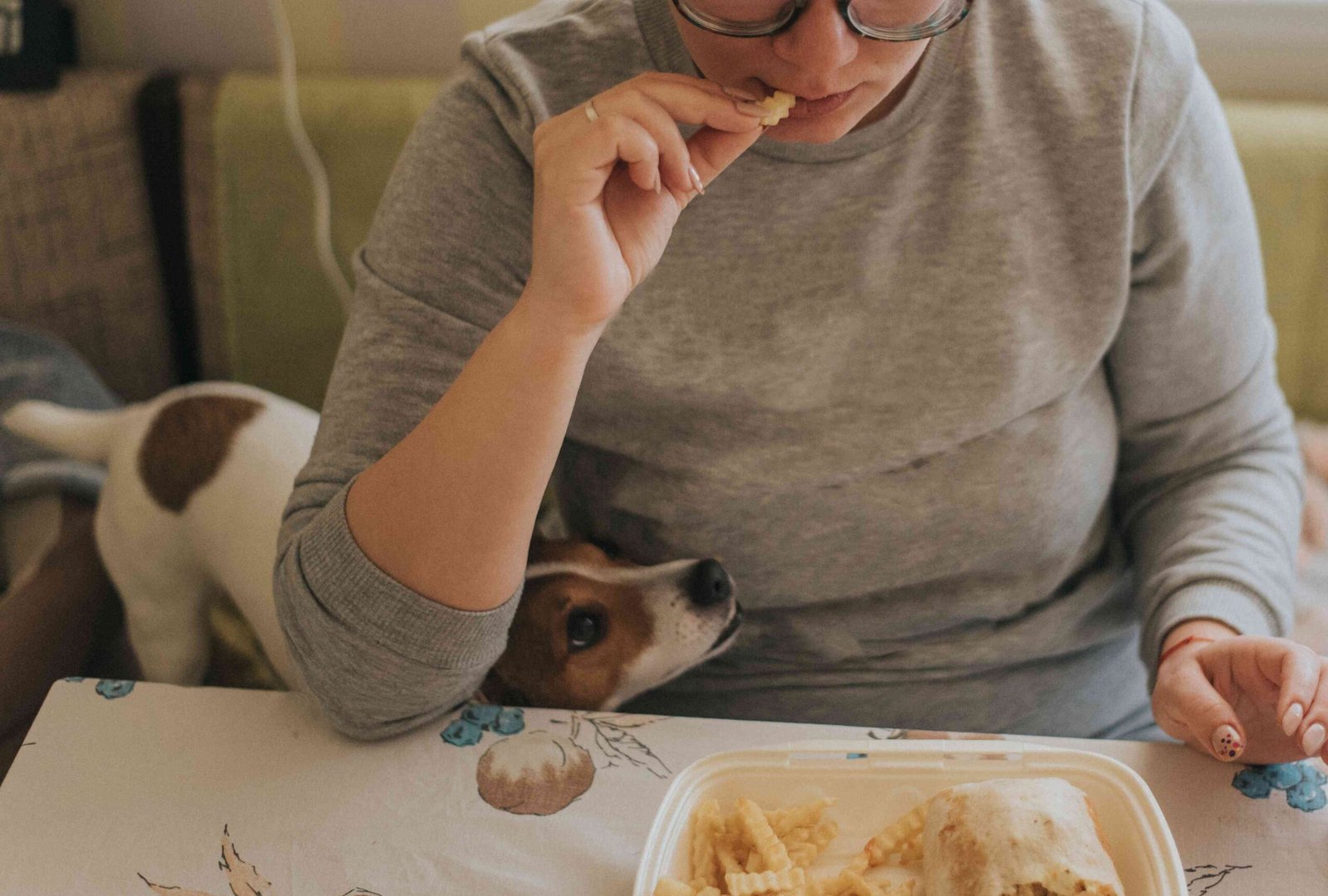 Can Dogs Eat French Fries? This Vet Says No