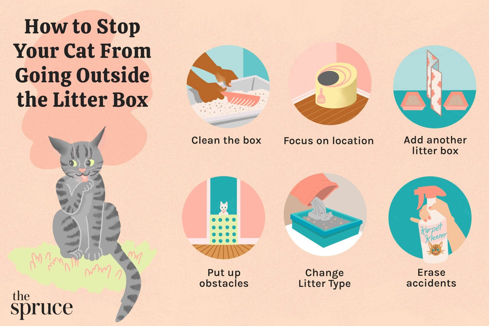 Why Is My Cat Pooping Outside the Litter Box? Discover Causes and Solutions