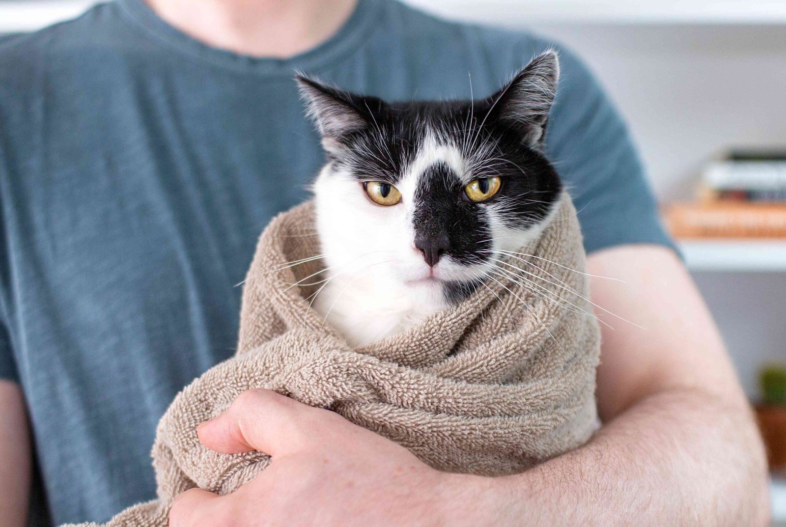 How to Burrito a Cat: Master the Art of Stress-Free Swaddling