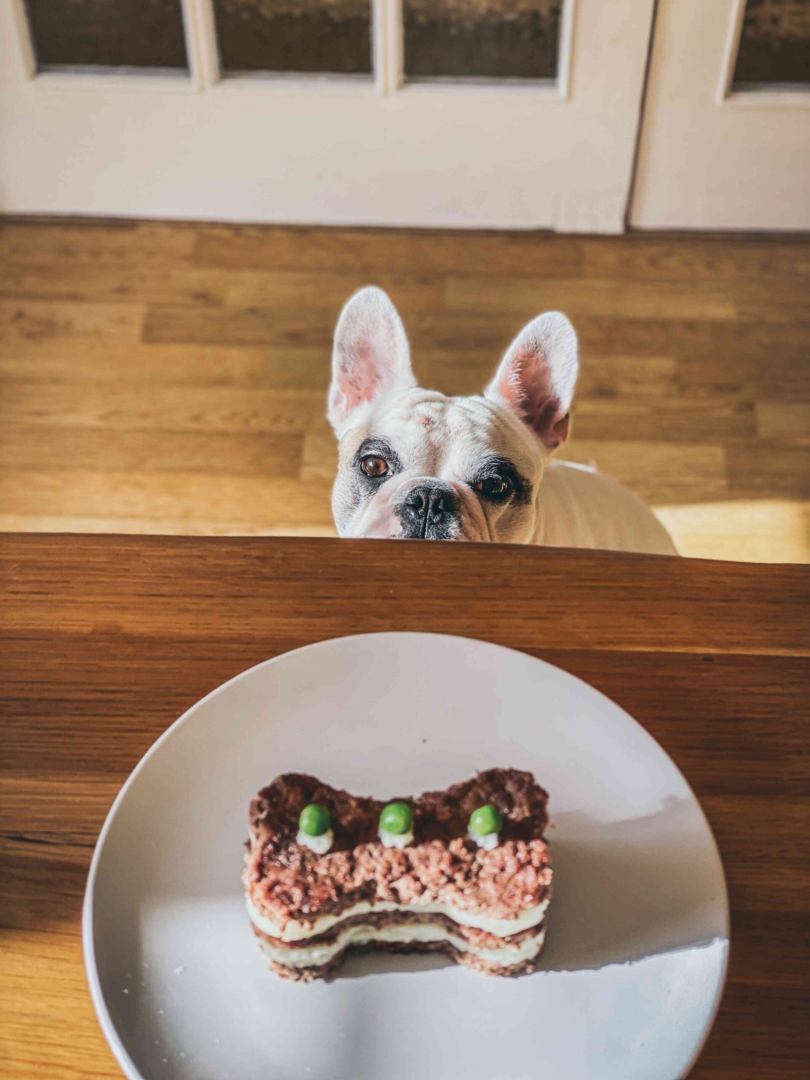 Can Dogs Eat Peas?