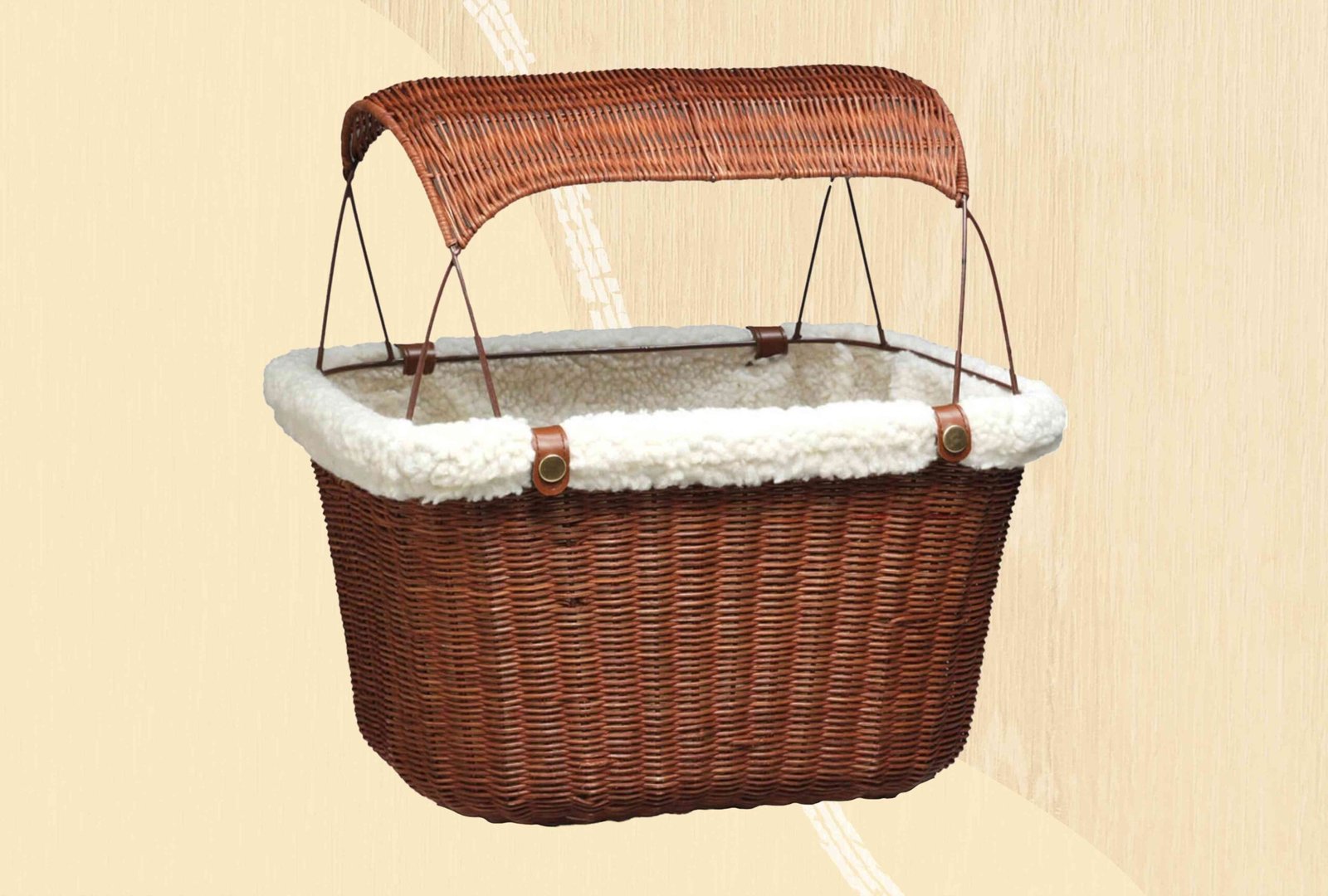 The 7 Best Dog Bike Baskets for Your Small-Breed Passenger