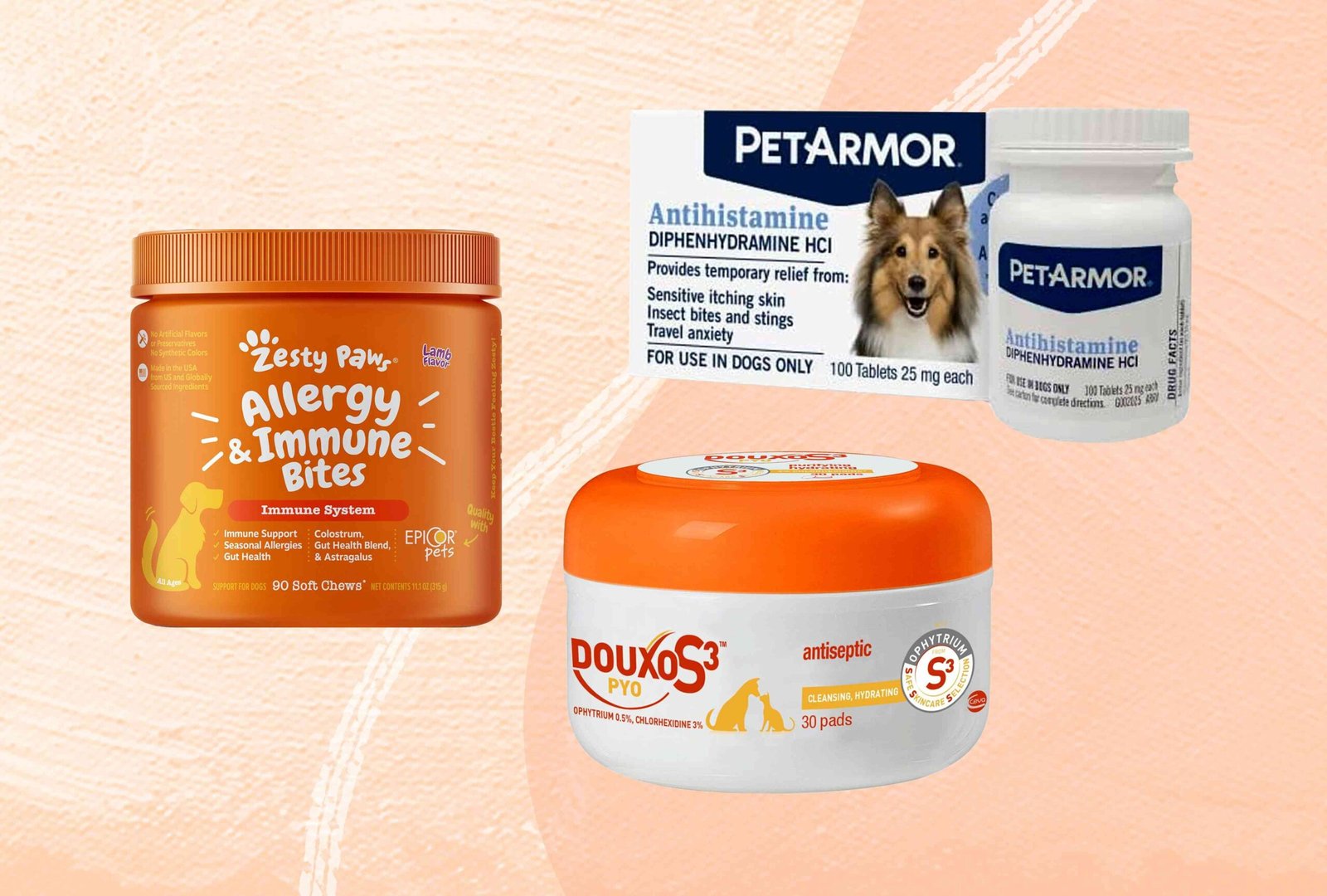 The 8 Best Allergy Medicines for Dogs of 2026