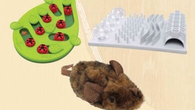 The 12 Best Interactive Cat Toys, Tested With Real Cats