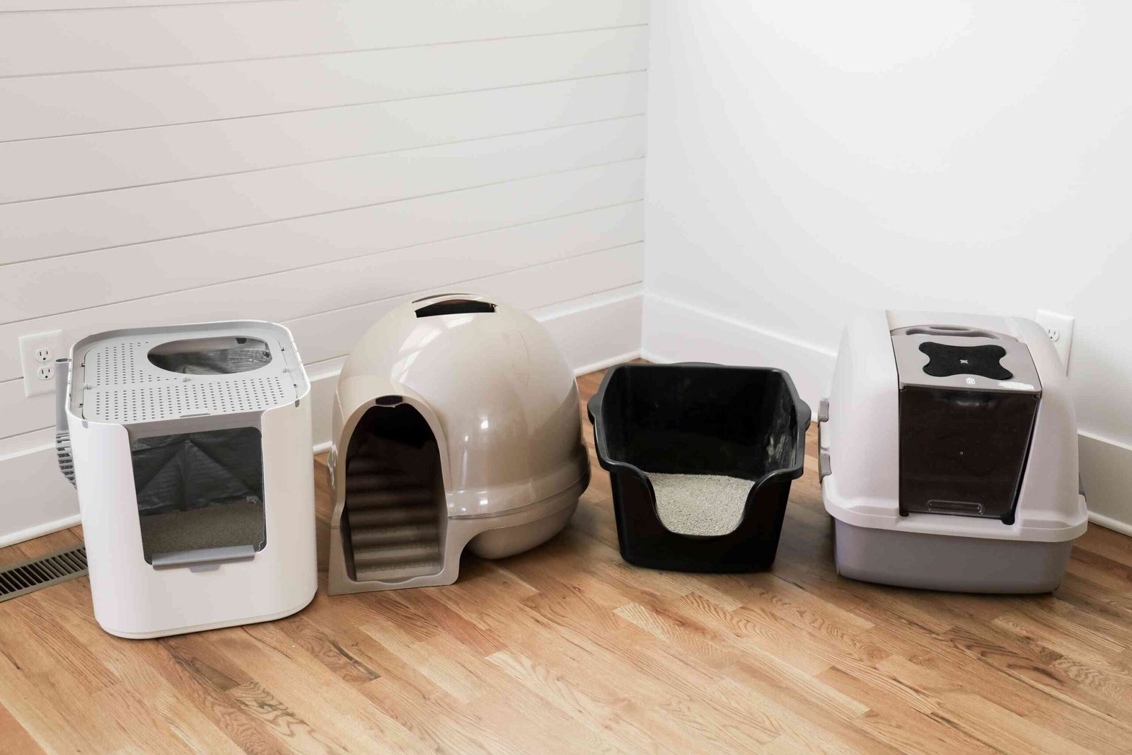 The Best Cat Litter Box Is Simple, With High Sides (We Tested Dozens More Too)