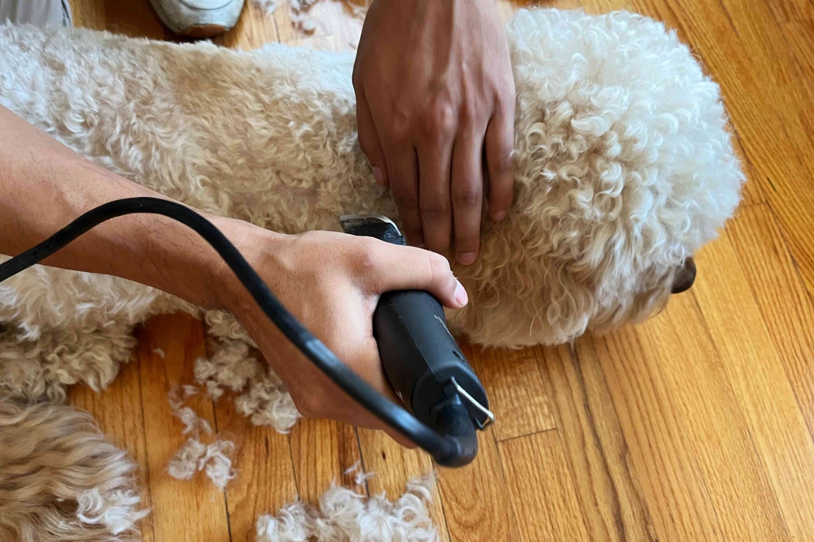 The 7 Best Dog Clippers Tested With At-Home Trims On Real Dogs