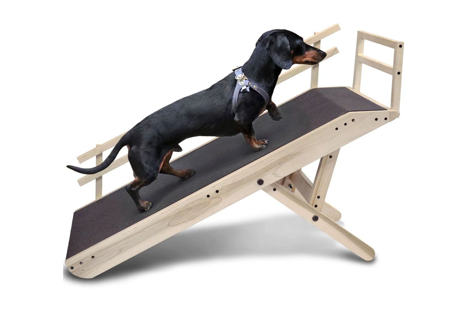 The 10 Best Dog Ramps of 2026