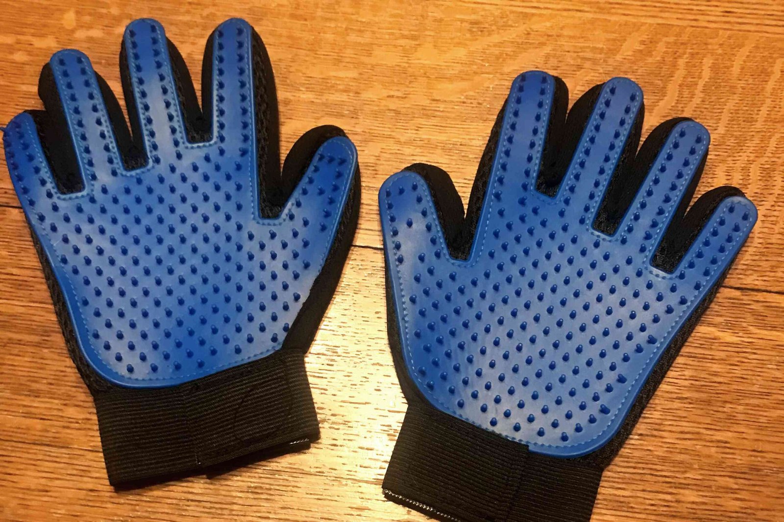 The 6 Best Cat Brush Gloves of 2026