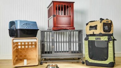 The 10 Best Dog Crates, Tested In Our Lab And With Real Dogs