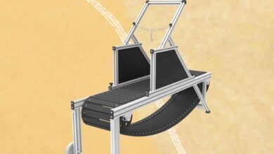 The 7 Best Treadmills for Dogs to Help With Recovery and Prevent Injury